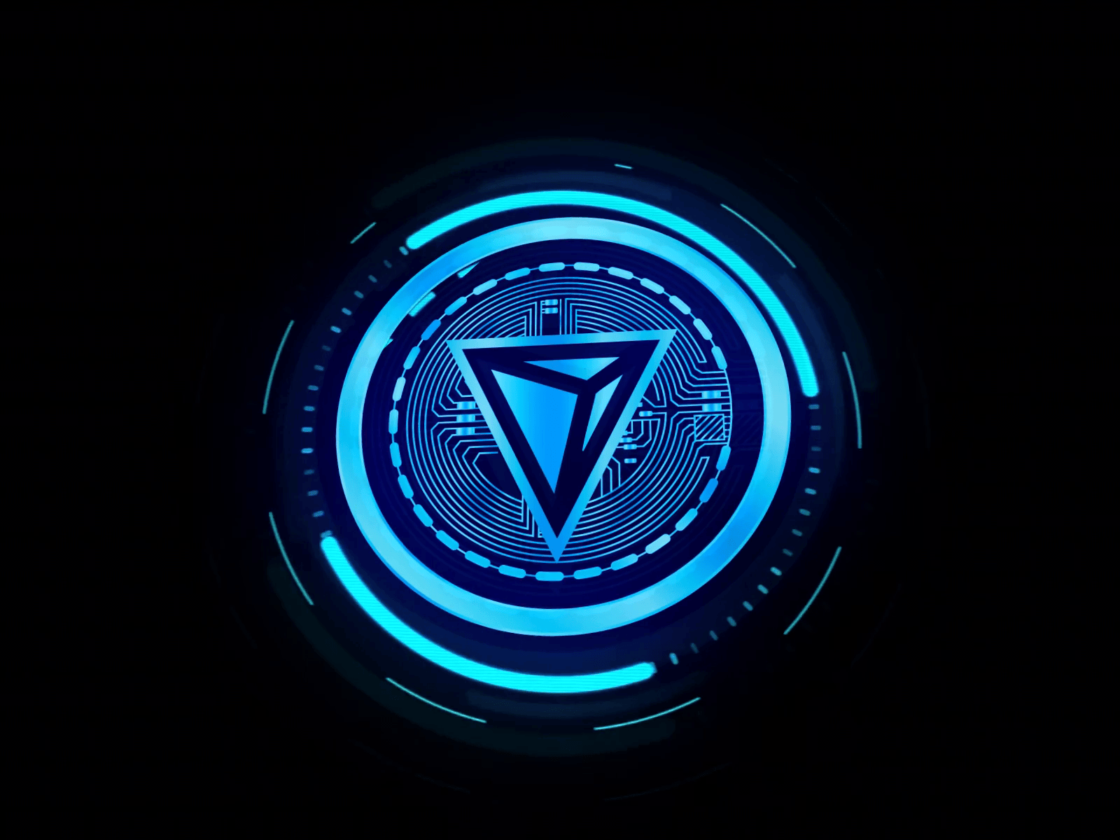 Xelis - Dashboard | MinerLab